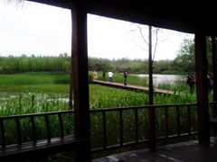 -溱湖国家湿地公园