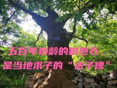 -井塘古村