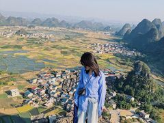 -会仙湿地