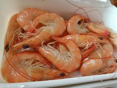明虾-惠食佳(滨江大公馆店)