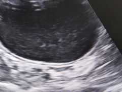 -宠颐生动物医院·心脏科·保险定点(锦阳分院)