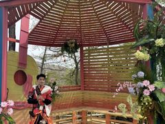 -沂蒙山旅游区云蒙景区(蒙山国家森林公园)