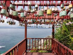 -三亚蜈支洲岛旅游区