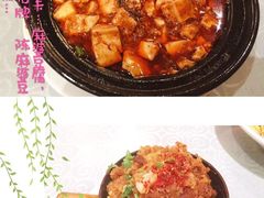 -陈麻婆豆腐总店