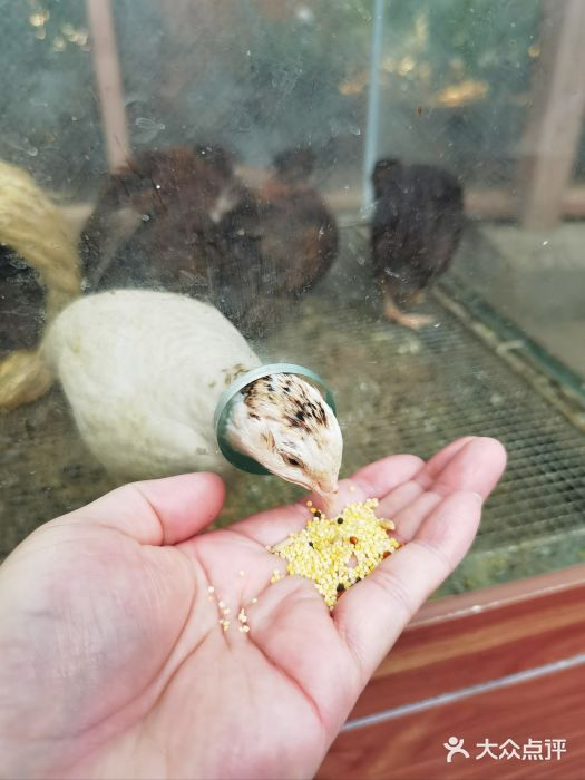 南宫五洲植物乐园图片