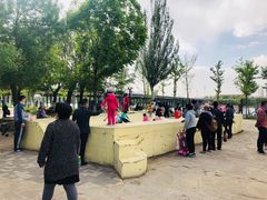 -长白岛森林公园