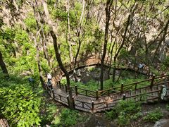-大岭沟猕猴桃谷风景区