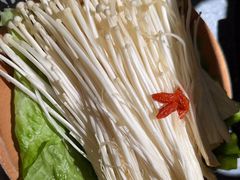 -探鱼·鲜青椒爽麻烤鱼(北京路天河城店)