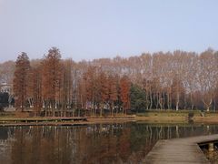 -东湖落雁景区