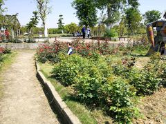 -武汉紫薇都市田园