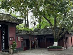 -桂湖森林公园