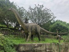 -自贡恐龙博物馆