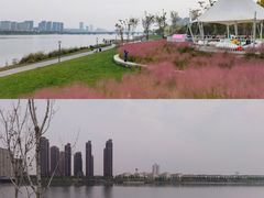 -西安浐灞国家湿地公园
