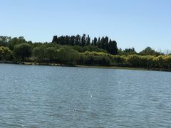 -大兴滨河森林公园