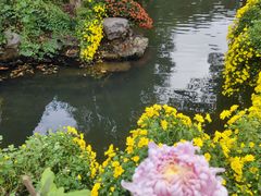 -杭州植物园