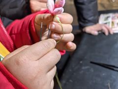 -南京市民俗博物馆(甘熙宅第)