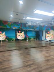 点击看大图 -呼拉汇舞蹈生活馆 Hawaii Hula&Tahiti Dance Studio