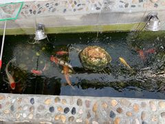 -晨汐石苑·清真菜农家院