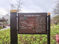-重庆彩云湖湿地公园