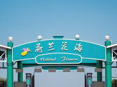 -荷兰花海