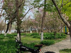 -长白岛森林公园