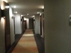 -和颐至尚酒店(石家庄勒泰中心省博物院店)