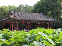 -恭王府博物馆