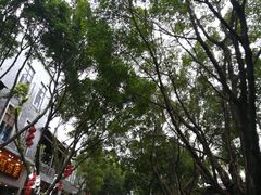 -黄埔古港