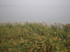 -青龙湖公园