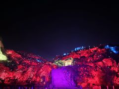 -印象普陀