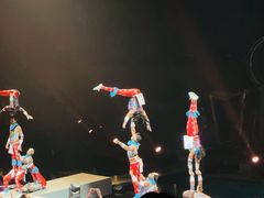 -广州长隆国际大马戏
