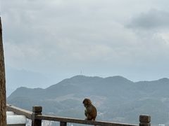 -重庆云阳龙缸景区