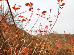 -周口店坡峰岭风景区