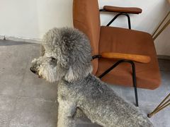 -沏点Trattoria意大利餐厅(新街口店)