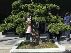-绮园景区