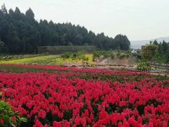 -中国香山·寿香谷