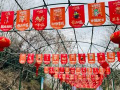 -红山森林动物园