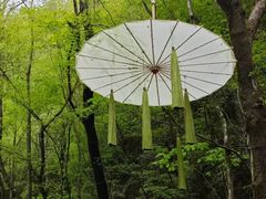 -牛背梁国家森林公园