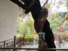 -郑和公园