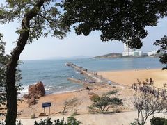 -八大关景区