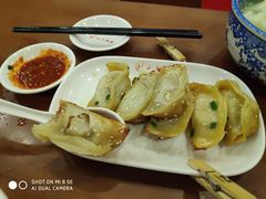 鲜肉锅贴-小姜锅贴(凤凰街店)