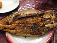 -新疆风味冷水鱼庄(友谊峰路店)