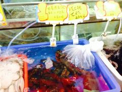 iphone_upload_pic-蚝专家(北滘店)