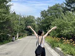 -北京鹫峰国家森林公园