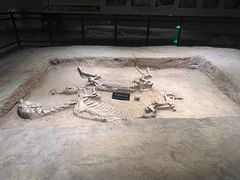 -洛阳周王城天子驾六博物馆