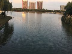 -南翔镇银翔湖公园
