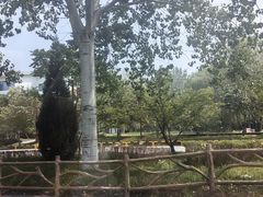 -娲皇宫