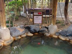 -张家港金凤凰度假村温泉