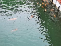 -广州市流溪河国家森林公园
