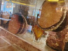 -甄御•海鲜新青岛菜(麦岛店)